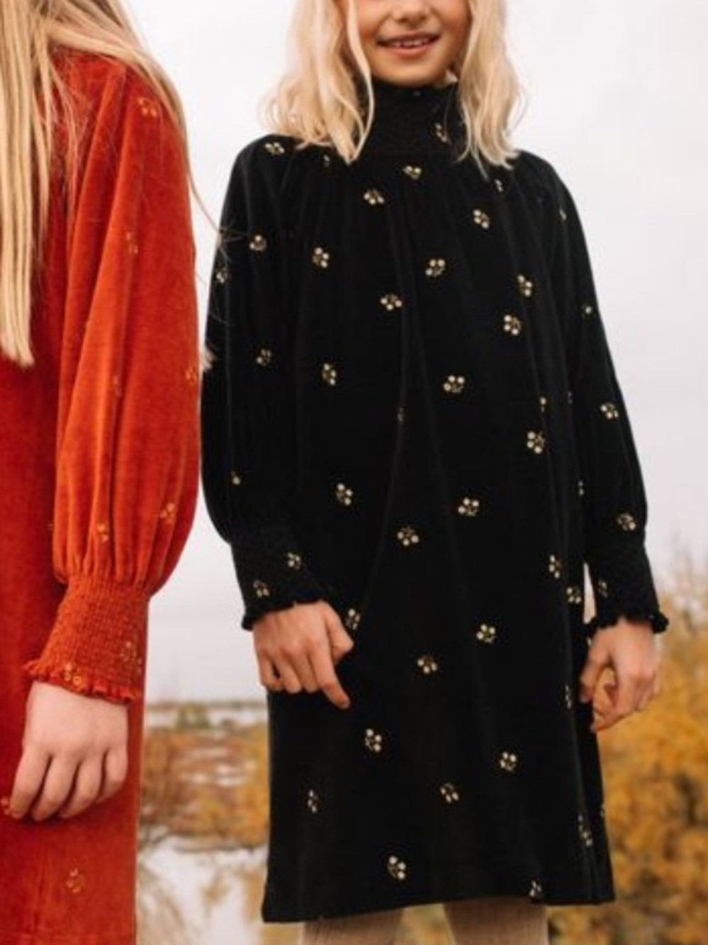 $228 Bebe Organic Cotton Dora Dress Black Velvet Embroidered Long-Sleeve Dress 8